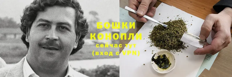 Бошки марихуана Bruce Banner  Правдинск 